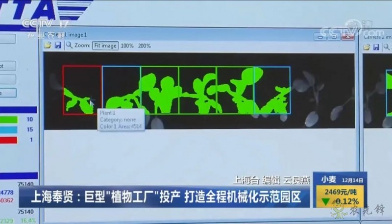 上海奉賢海灣鎮的巨型的植物工廠