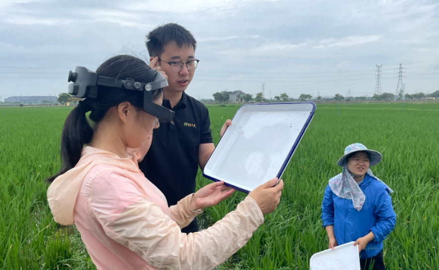 農(nóng)業(yè)ＡＲ眼鏡為智慧植保鍛造“火眼金睛”