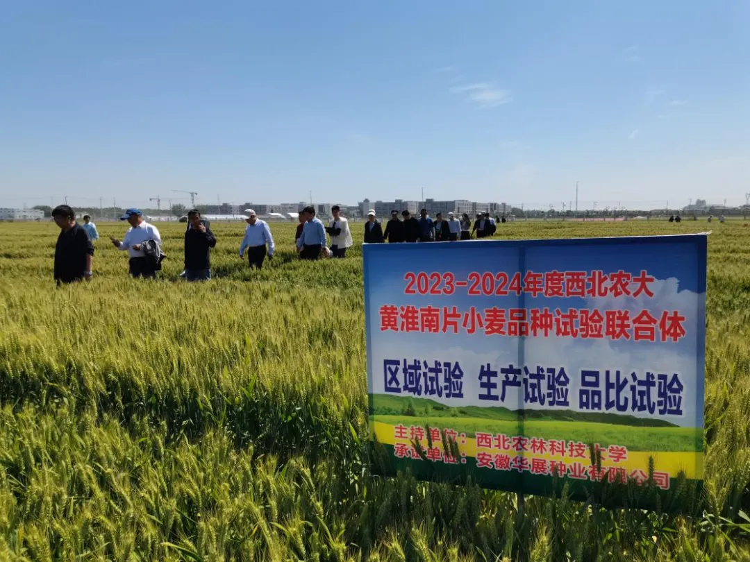 農業“芯片” 扛牢糧食安全重任